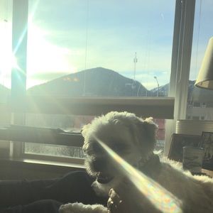 Meet your Posher, Kiana